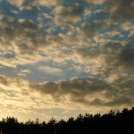 908开奖号前后走势深度解析 9bf9cbwwi