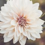 90开奖直播现场:见证激动人心的开奖时刻 o43ot