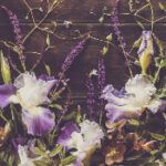 NBA篮球赛事高清视频直播在线观看全程精彩对决 if6yle39g2