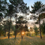 NBA篮网队最新赛事直播,精彩对决不容错过! ot13k83qq